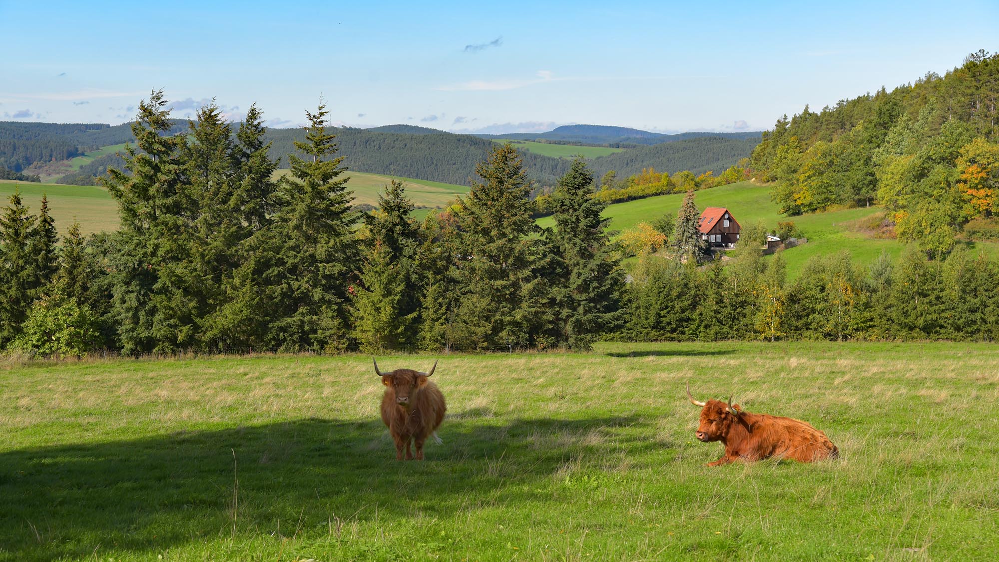 Landschaft bei Bechstedt